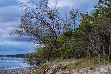 C罗在训练中完成倒钩技惊四座，c罗倒钩什么水平